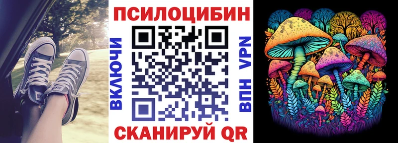 Купить где  Тейково  Псилоцибиновые грибы ЛСД 